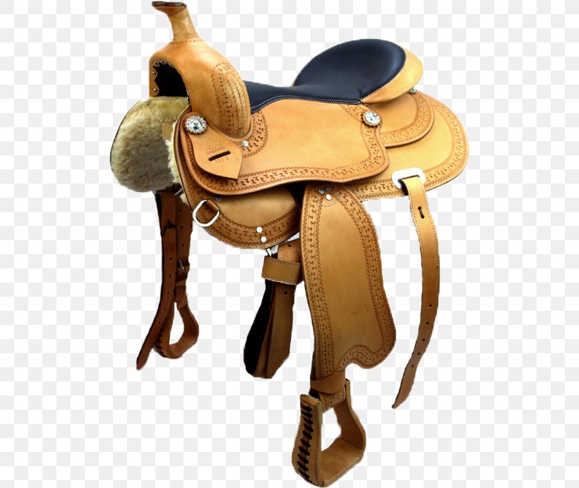 Horse Western Saddle Equestrian Bit, PNG, 512x691px, Horse, Bit, Equestrian, Experience, Horse Like Mammal Download Free