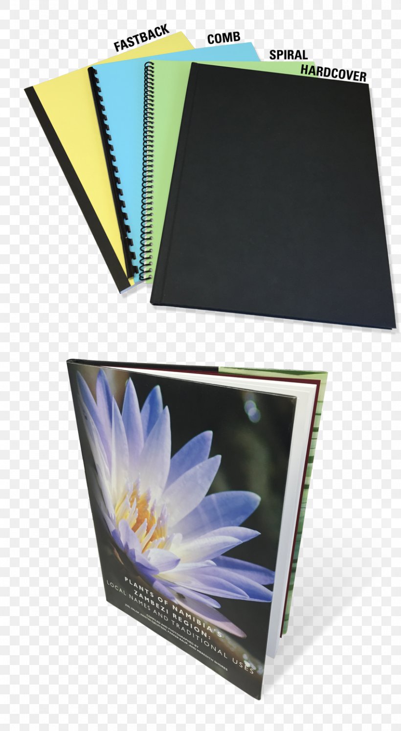 Photographic Paper Photography, PNG, 850x1550px, Paper, Photographic Paper, Photography Download Free