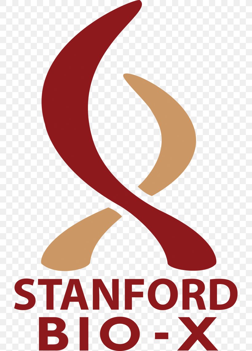 Stanford University Bio-X Initiative Doctor Of Philosophy Biology Research, PNG, 727x1144px, Stanford University, Area, Art History, Artwork, Biological Engineering Download Free