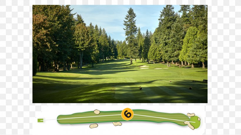 Golf Clubs Golf Course Lawn, PNG, 980x551px, Golf Clubs, Golf, Golf Club, Golf Course, Golf Equipment Download Free