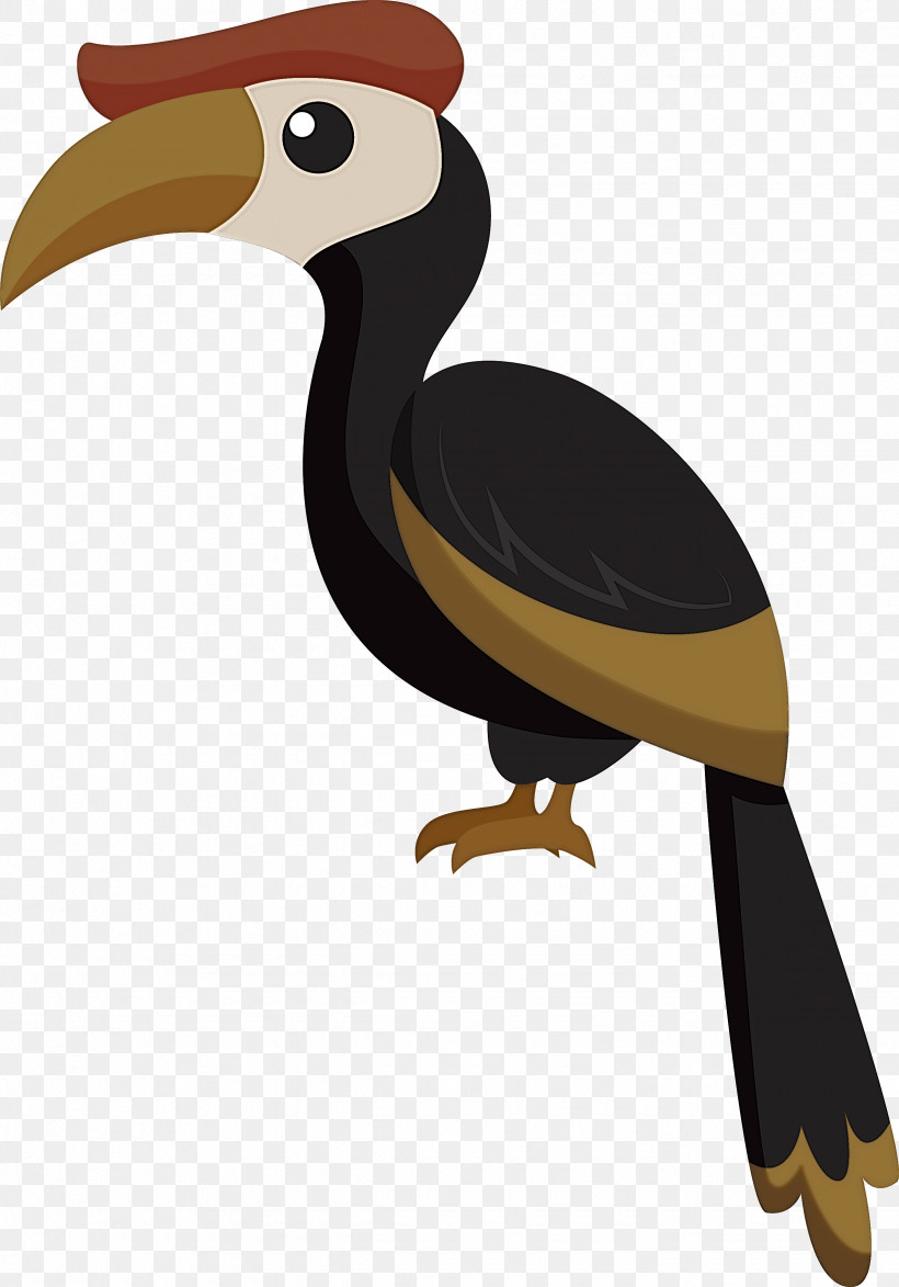 Hornbill Toucans Birds House Sparrow Piciformes, PNG, 2455x3514px, Bird, Beak, Bird Of Prey, Birds, Cartoon Bird Download Free
