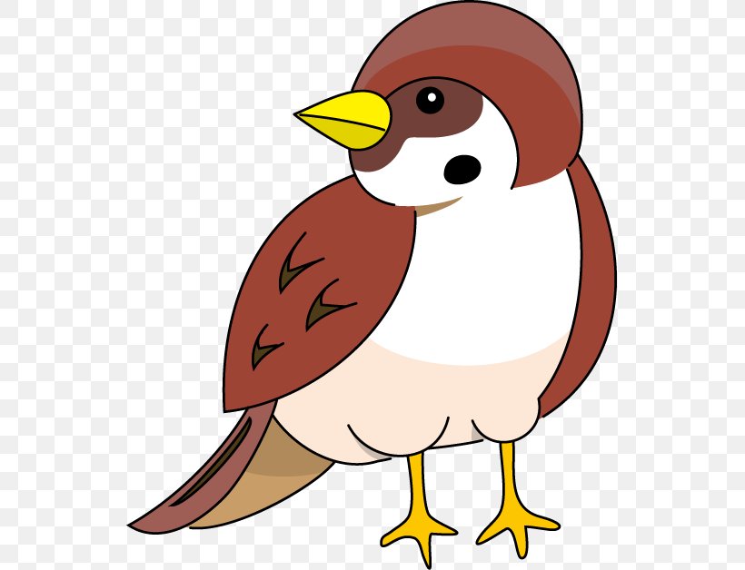 House Sparrow Bird Clip Art, PNG, 541x628px, Sparrow, Art, Artwork, Beak, Bird Download Free