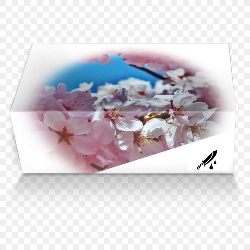 Petal Blossom Floral Design Flower Lilac, PNG, 1500x1500px, Petal, Blossom, Cherry, Cherry Blossom, Floral Design Download Free