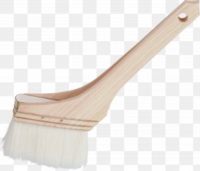 Brush Mold 掃除 Mop いらすとや Png 655x800px Brush Bathroom Child Copybook Hardware Download Free