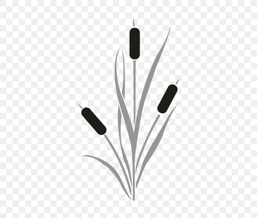 Cattail Drawing Clip Art, PNG, 696x696px, Cattail, Art, Audio, Audio Equipment, Black And White Download Free