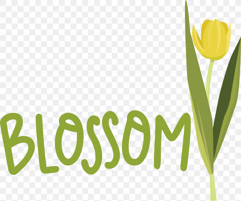 Floral Design, PNG, 5323x4442px, Plant Stem, Biology, Floral Design, Logo, Meter Download Free