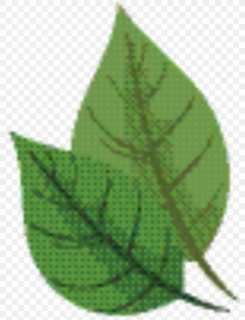 Green Leaf Background, PNG, 1368x1788px, Leaf, Flower, Green, Plant, Plant Pathology Download Free