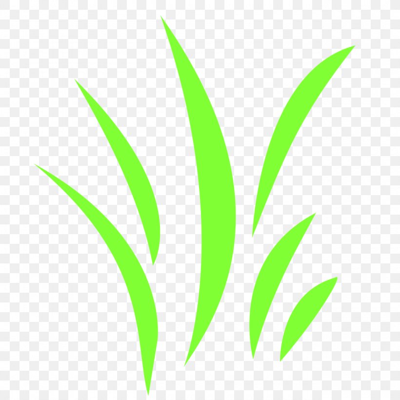Leaf Grasses Plant Stem Font, PNG, 1280x1280px, Leaf, Family, Grass, Grass Family, Grasses Download Free
