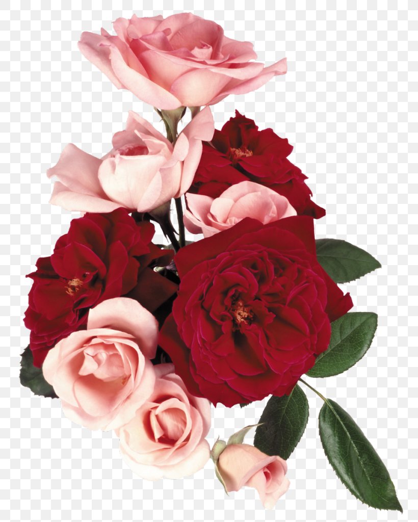 Garden Roses Flower Bouquet Cabbage Rose Floral Design, PNG, 797x1024px, Garden Roses, Artificial Flower, Cabbage Rose, Cut Flowers, Floral Design Download Free