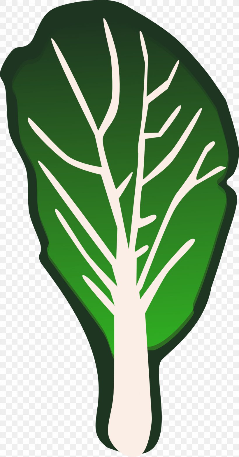 Leaf Vegetable Lettuce Clip Art, PNG, 1006x1920px, Leaf Vegetable, Broccoli, Cabbage, Can Stock Photo, Chinese Cabbage Download Free