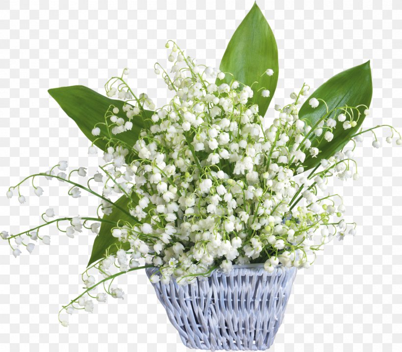 Lily Of The Valley May 1 Party Labour Day May Day, PNG, 1200x1051px, Lily Of The Valley, Cut Flowers, Father S Day, Floral Design, Floristry Download Free