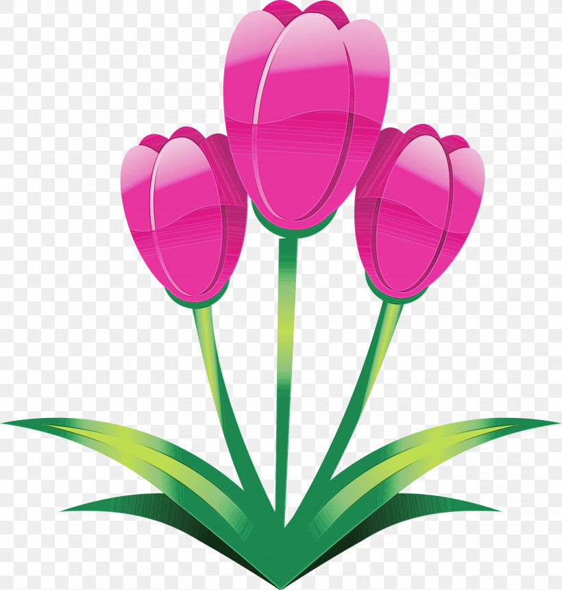 Tulip Flower Petal Pink Plant, PNG, 2856x3000px, Easter Flower, Crocus, Cut Flowers, Flower, Grass Download Free