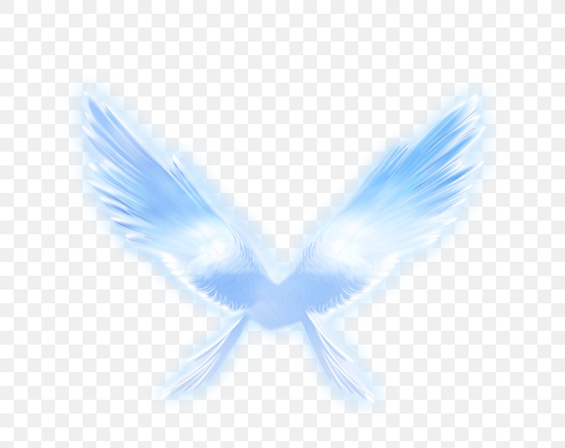 Wing, PNG, 650x650px, Wing, Angel Wing, Blue, Chemical Element, Computer Download Free