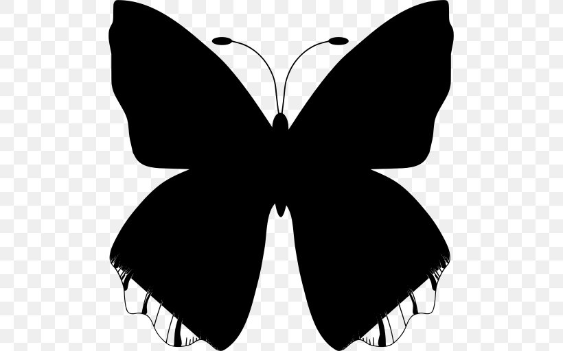 Butterfly Design, PNG, 503x512px, Hotel, Blackandwhite, Brushfooted Butterfly, Butterfly, Insect Download Free