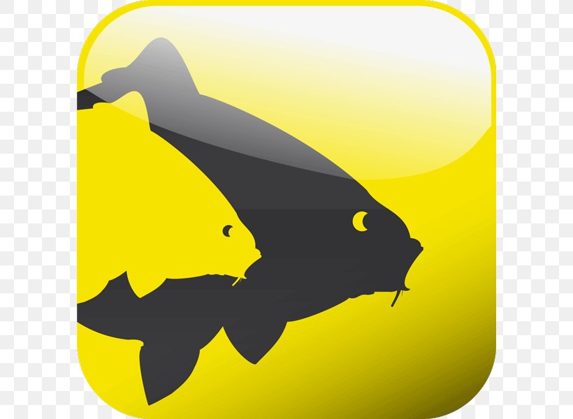 Carp Fishing Angling Avid, PNG, 600x600px, Carp, Angling, Avid, Bait, Beak Download Free