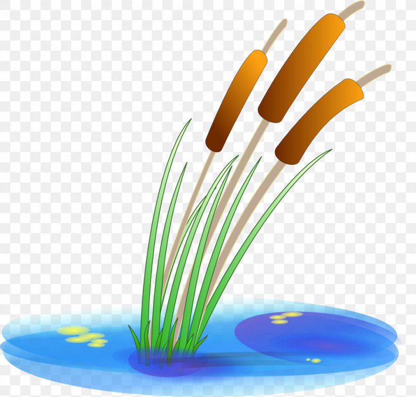 Cattail Pond Aquatic Plants Clip Art, PNG, 1000x955px, Cattail, Aquatic Plants, Grass, Plant, Pond Download Free