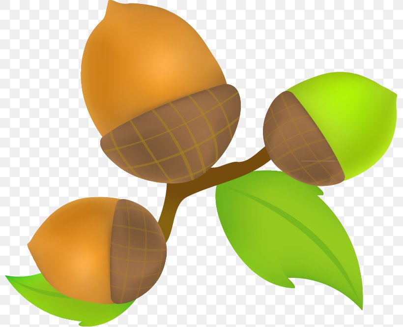 Kiwifruit Oyumino Cartoon, PNG, 799x665px, Kiwifruit, Acorn, Ball, Food, Fruit Download Free