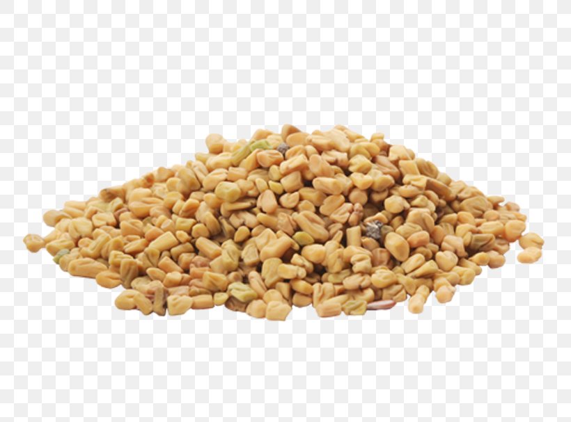 Organic Food Fenugreek Fennel Spice, PNG, 800x607px, Organic Food, Cereal, Cereal Germ, Commodity, Coriander Download Free