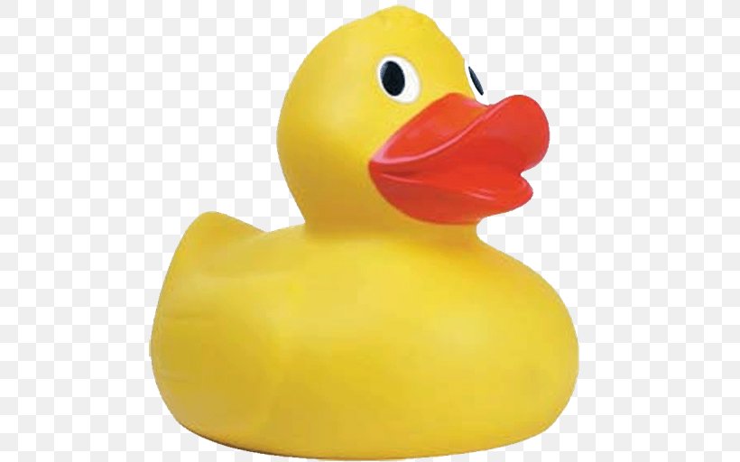 mallard rubber duck