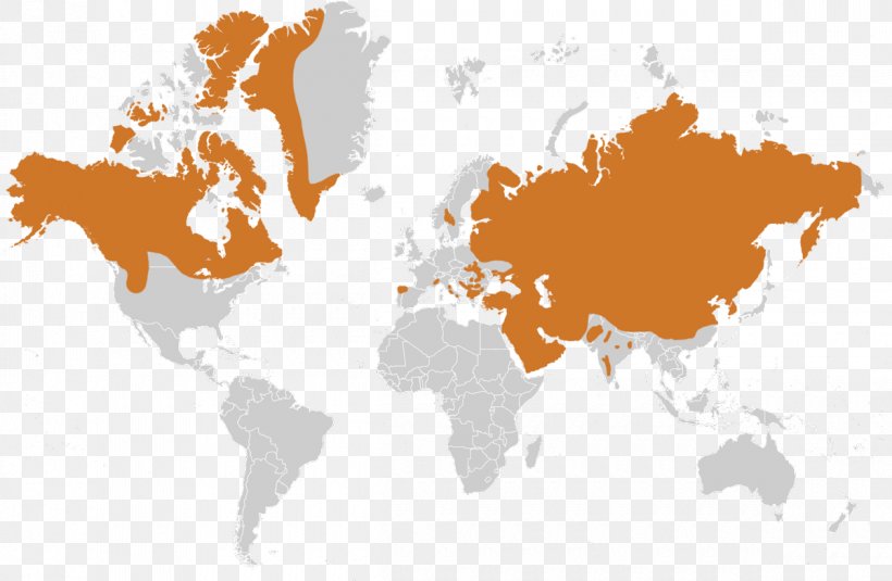 World Map Globe Mercator Projection, PNG, 1200x784px, World, Gerardus Mercator, Globe, Google Maps, Map Download Free