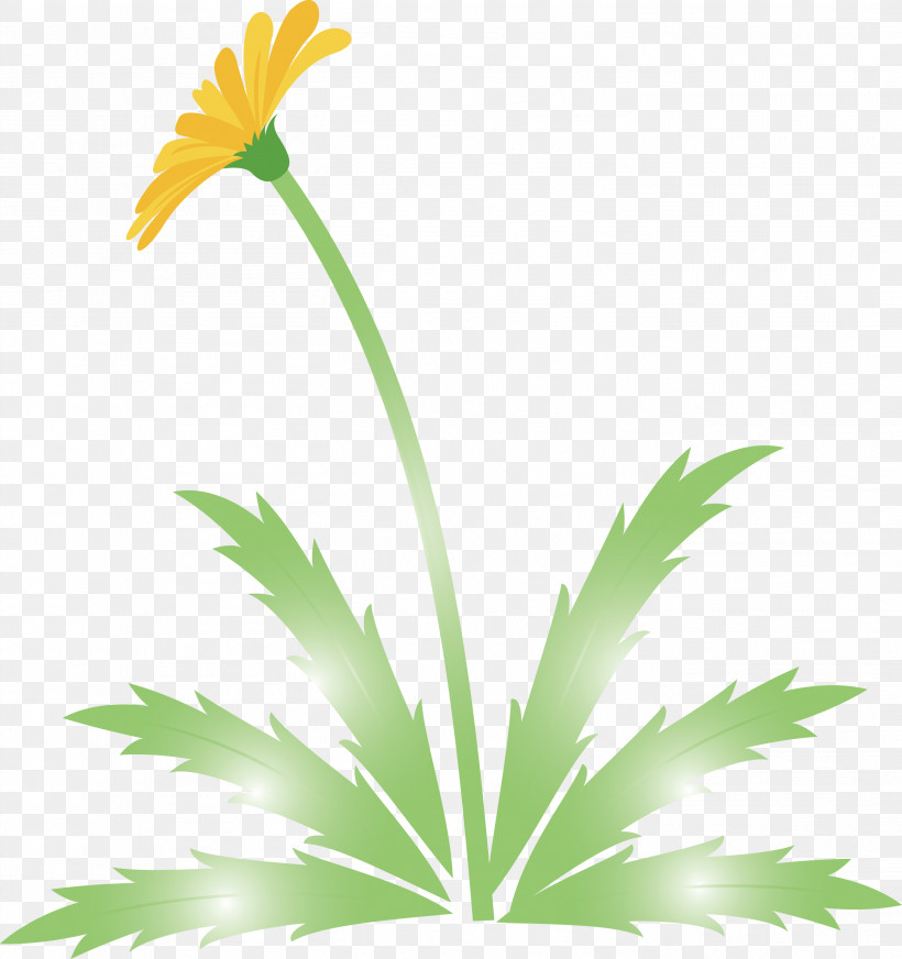 Dandelion Flower Easter Day Flower Spring Flower, PNG, 2819x3000px, Dandelion Flower, Easter Day Flower, Flower, Grass, Leaf Download Free