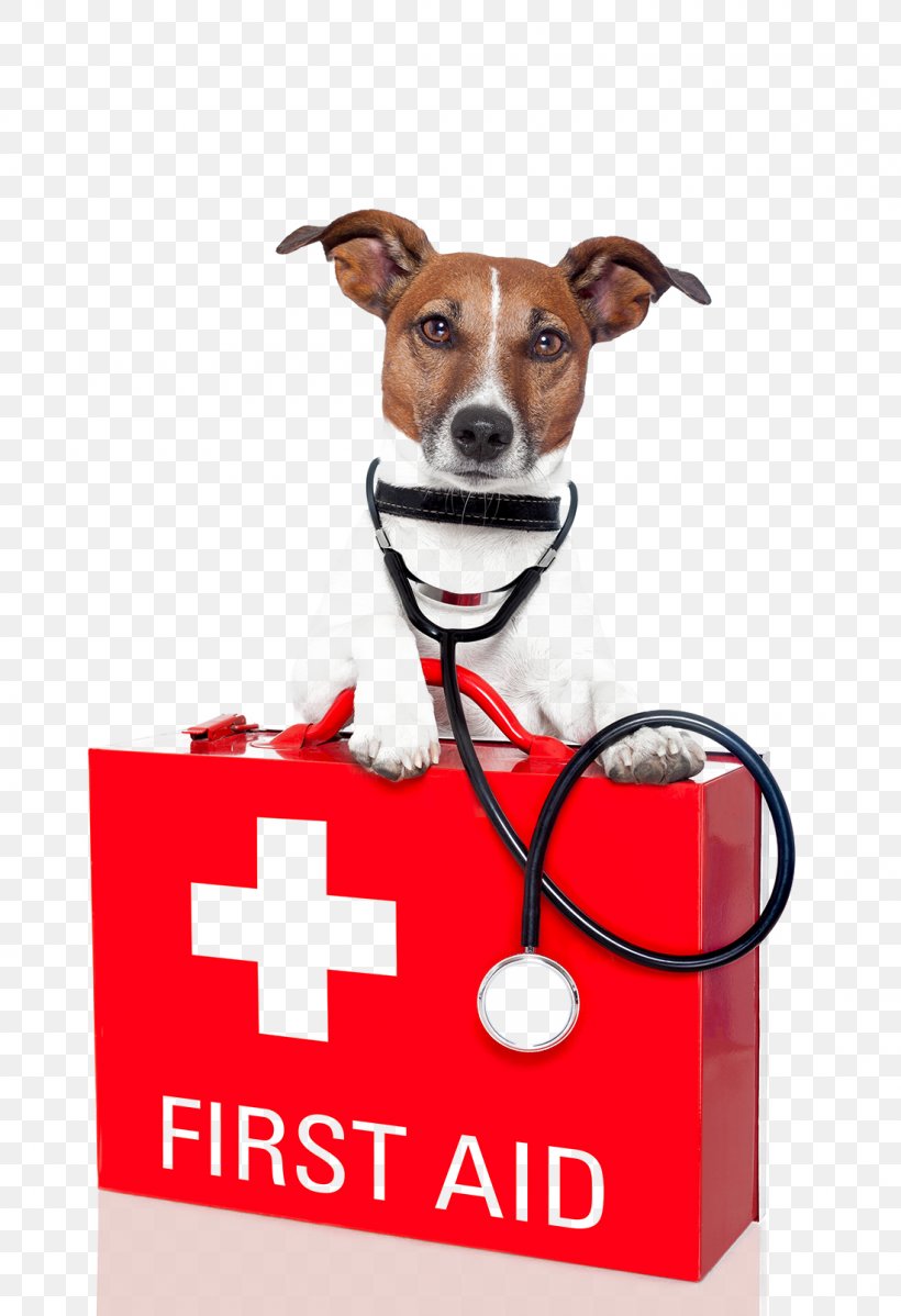 Dog Pet First Aid First Aid Kit, PNG, 1100x1608px, Dog, Accident, American Red Cross, Cardiopulmonary Resuscitation, Carnivoran Download Free