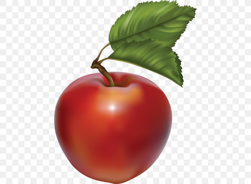 Macintosh Clip Art Apple Image, PNG, 466x600px, Apple, Acerola, Acerola Family, Apple Color Emoji, Bush Tomato Download Free