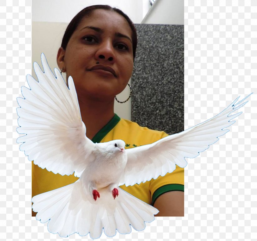 Bárbara Micheline Do Monte Barbosa Brazil Women's National Football Team Birthday Brazil National Football Team, PNG, 1337x1252px, 2017, 2018, Birthday, Arm, Beak Download Free