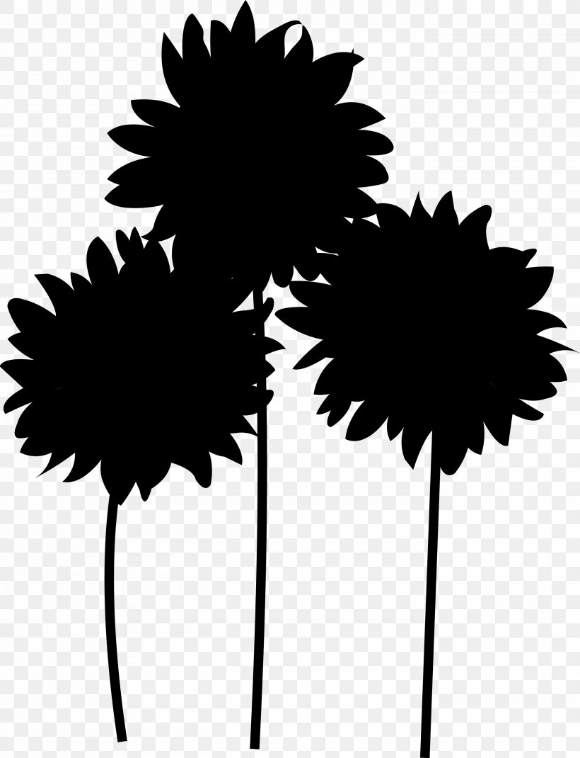 Leaf Daisy Family Plant Stem Silhouette Tree, PNG, 2788x3641px, Leaf, Arecales, Asterales, Blackandwhite, Common Daisy Download Free