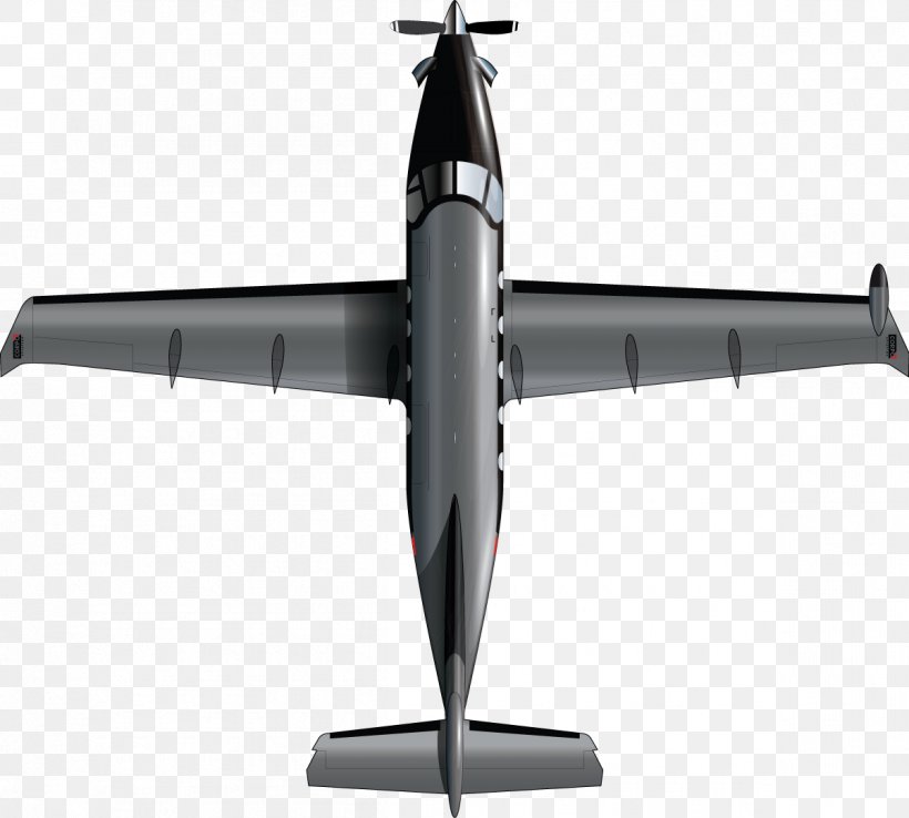 Pilatus PC-12 NG Propeller Aircraft Air Transportation, PNG, 1201x1081px, Pilatus Pc12, Aerospace Engineering, Air Force, Air Transportation, Aircraft Download Free