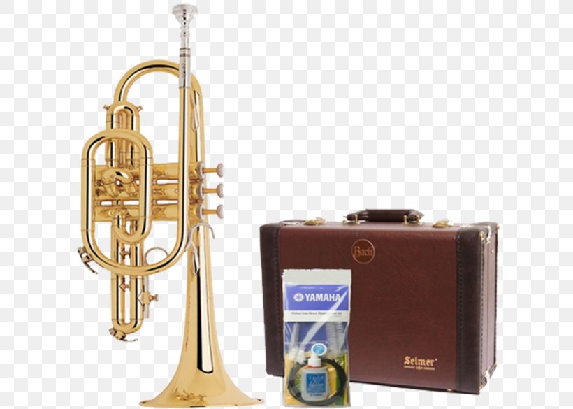 Saxhorn Cornet Trumpet Flugelhorn Bugle, PNG, 700x585px, Watercolor, Cartoon, Flower, Frame, Heart Download Free