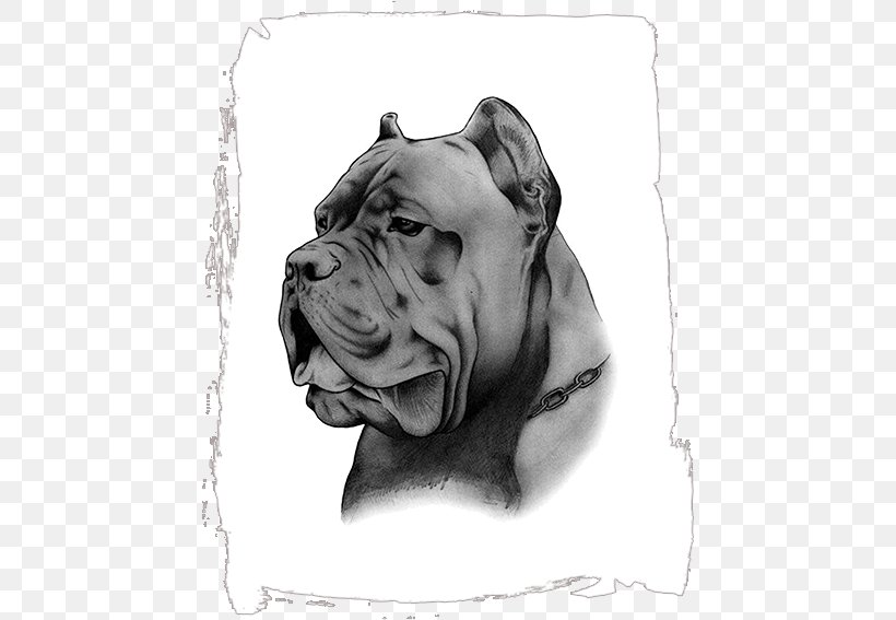 Cane Corso Dog Breed Pit Bull Non-sporting Group Sales, PNG, 567x567px, Cane Corso, Advertising, Animal, Black, Black And White Download Free