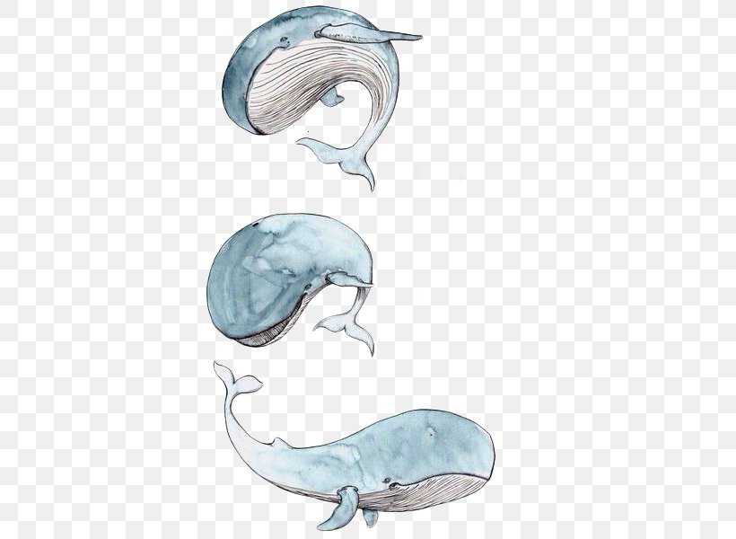 Cetacea Drawing Watercolor Painting Paper Sketch, PNG, 450x600px, Cetacea, Art, Canvas, Dolphin, Drawing Download Free