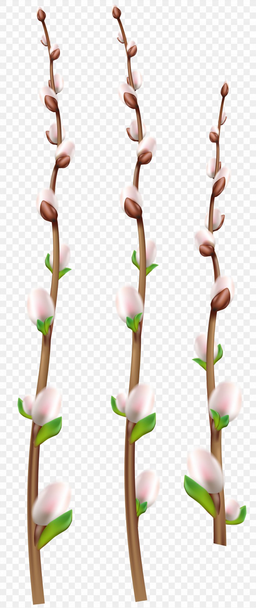Twig Clip Art, PNG, 3378x8000px, Twig, Art Museum, Branch, Easter, Plant Download Free
