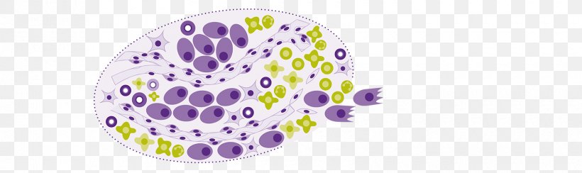 Organism Product Design Purple, PNG, 1680x500px, Organism, Body Jewellery, Body Jewelry, Human Body, Jewellery Download Free