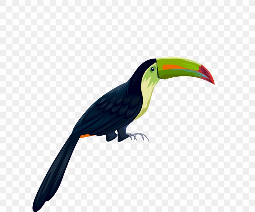 Parrot Bird, PNG, 3601x2988px, Parrot, Beak, Bird, Element, Fauna Download Free