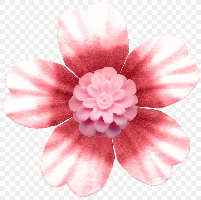 Pink Button Flower Rose, PNG, 969x967px, Pink, Blossom, Button, Chrysanths, Cut Flowers Download Free