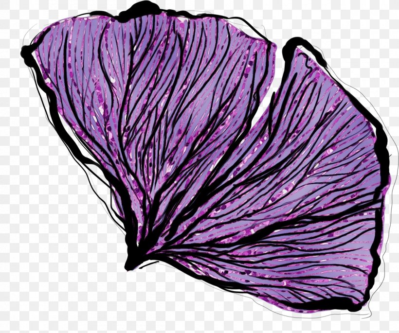 Leaf Purple Cabbage Violet Petal, PNG, 1200x1003px, Watercolor, Cabbage, Flower, Leaf, Leaf Vegetable Download Free