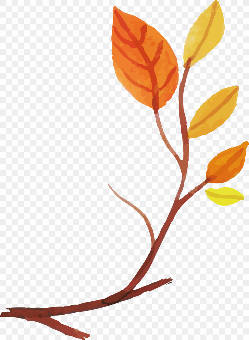Plant Stem Petal Leaf Cut Flowers Twig, PNG, 2198x2999px, Watercolor Autumn, Biology, Cut Flowers, Flower, Leaf Download Free