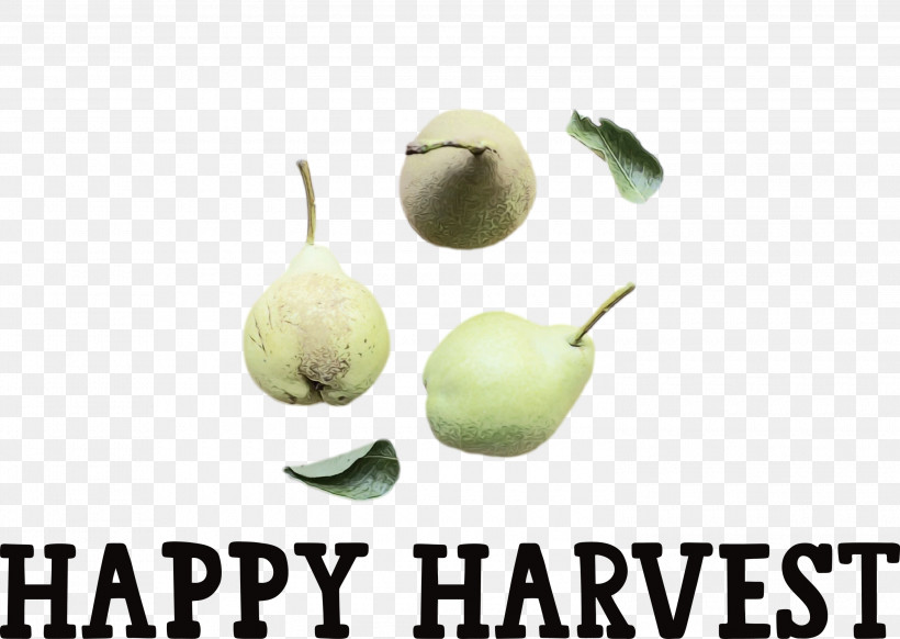 Superfood Fruit Meter, PNG, 3000x2131px, Happy Harvest, Fruit, Harvest Time, Meter, Paint Download Free