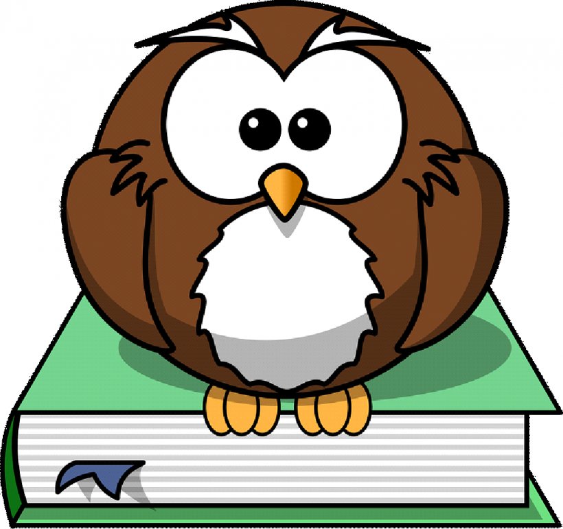 Tawny Owl Bird Clip Art, PNG, 1021x960px, Owl, Animal, Animation, Artwork, Barn Owl Download Free