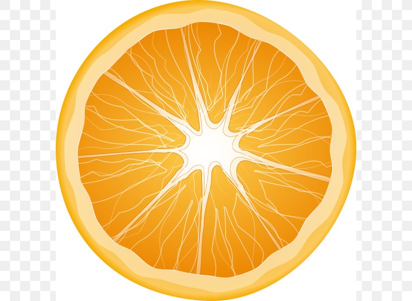 Citrus Xd7 Sinensis Orange Slice Fruit Clip Art, PNG, 598x600px, Citrus Xd7 Sinensis, Carambola, Citric Acid, Citrus, Drawing Download Free