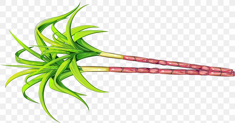 Green Plant Flower Vegetable Plant Stem, PNG, 2501x1306px, Watercolor, Flower, Green, Paint, Plant Download Free