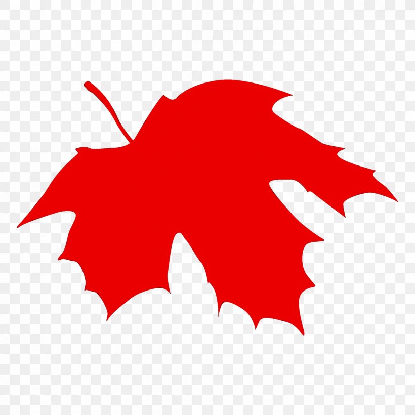 Maple Leaf, PNG, 1200x1200px, Watercolor, Holly, Leaf, Logo, Maple Leaf Download Free