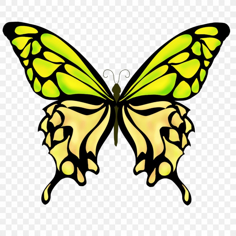 Monarch Butterfly Drawing, PNG, 1000x1000px, Butterfly, Art, Arthropod, Artwork, Banco De Imagens Download Free