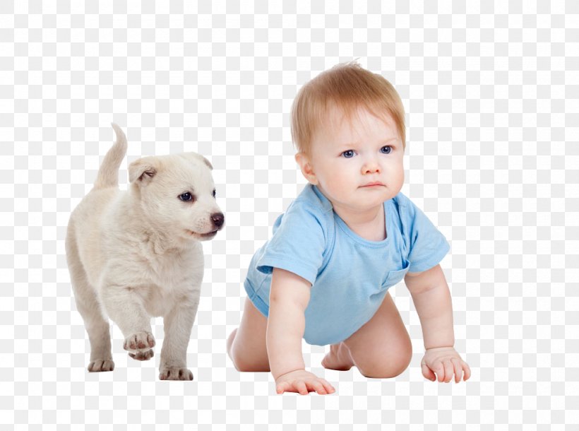 Old English Bulldog Puppy Skip Infant Child, PNG, 1000x745px, Old English Bulldog, Animal Euthanasia, Carnivoran, Child, Companion Dog Download Free