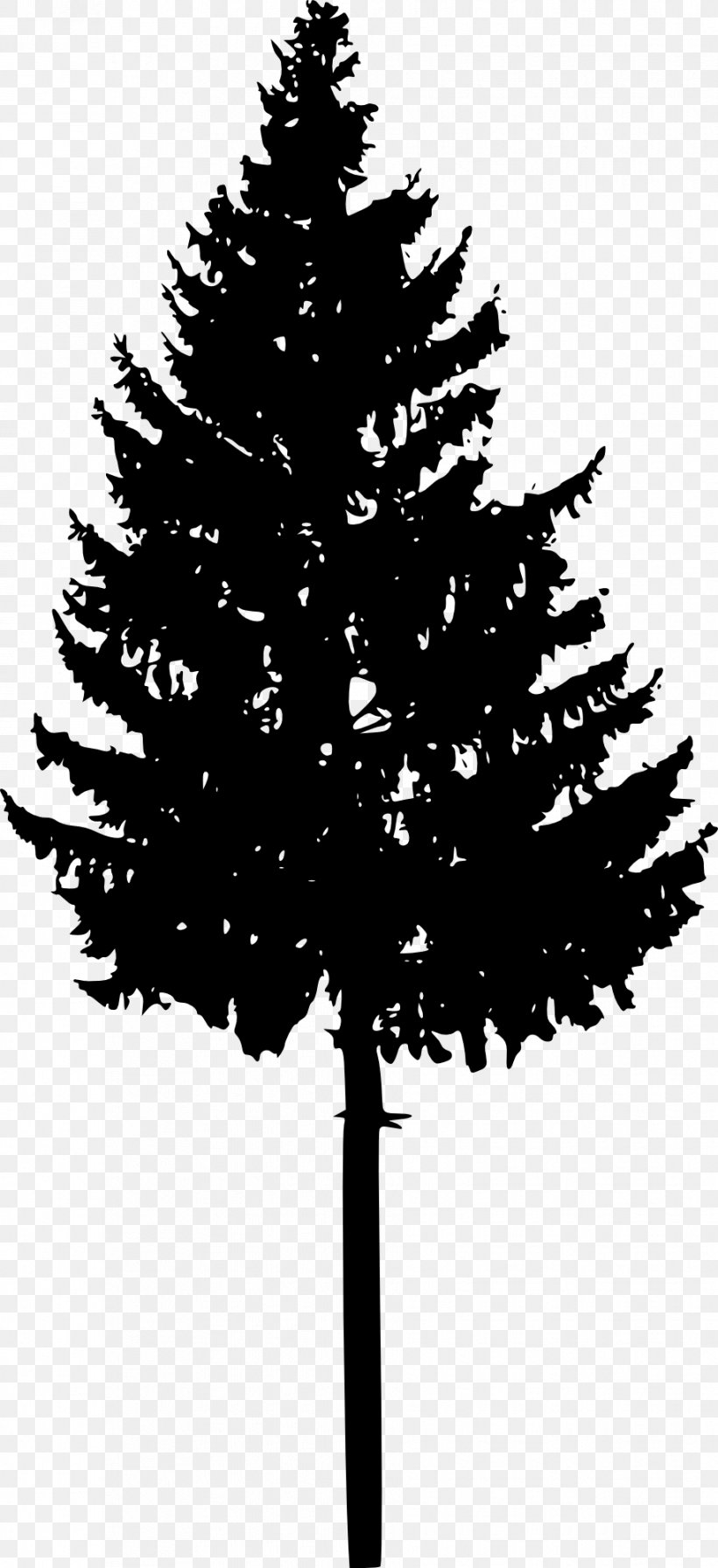 Tree Spruce Fir Conifers Silhouette, PNG, 915x2000px, Tree, Black And White, Branch, Christmas Decoration, Christmas Ornament Download Free