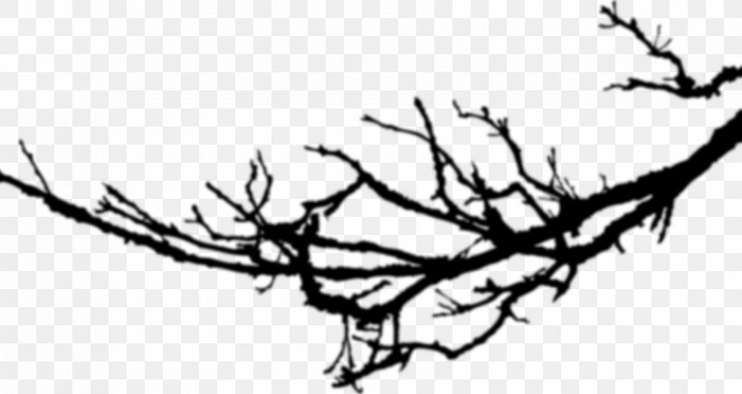 Twig Clip Art Branch Line Art Leaf, PNG, 1680x895px, Twig, Antler, Art, Artwork, Black And White Download Free