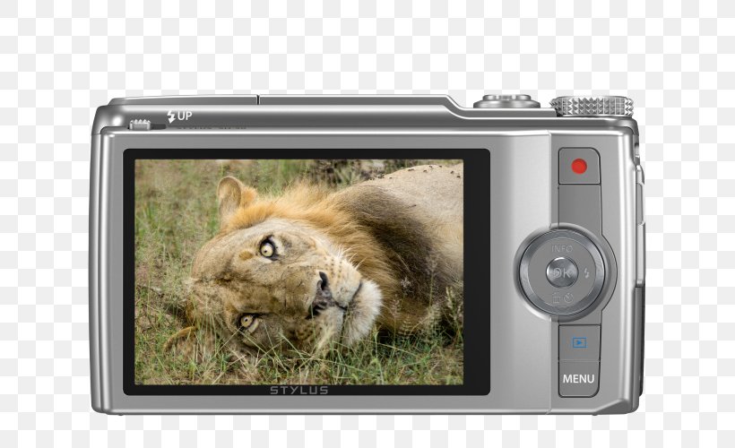 Point-and-shoot Camera Olympus Stylus SH-60 16 Mp, PNG, 667x500px, 16 Mp, Camera, Big Cats, Cameras Optics, Cat Like Mammal Download Free