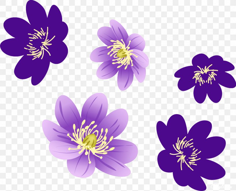Video Image Desktop Wallpaper Flower, PNG, 1074x869px, 4k Resolution, Video, Art, Dance, Drawing Download Free